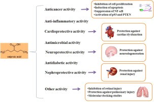 Valproic acid reduces the accumulation of fat in the liver and lowers blood sugar levels