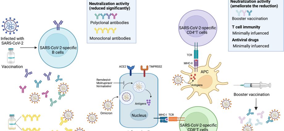 Variant of Omikron &#8211; bad and good news