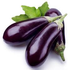 Varieties and hybrids of eggplant