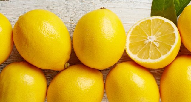 Varieties and types of lemons for home growing