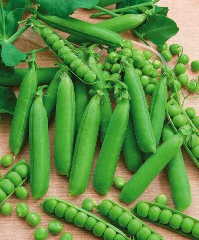 Varieties and types of peas: what are, photos and names