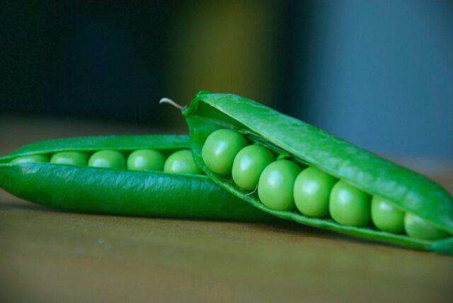 Varieties and types of peas: what are, photos and names