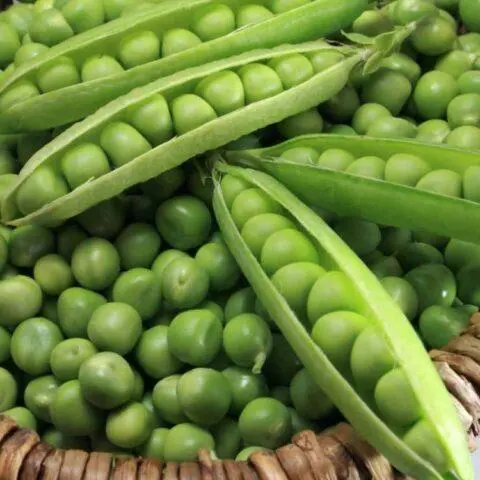 Varieties and types of peas: what are, photos and names