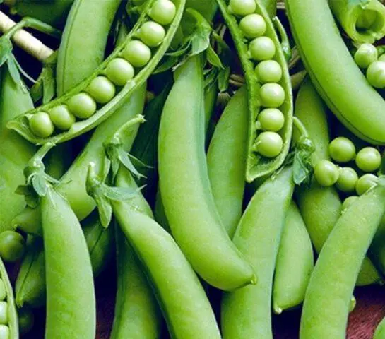 Varieties and types of peas: what are, photos and names