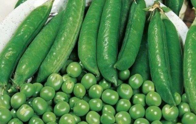 Varieties and types of peas: what are, photos and names