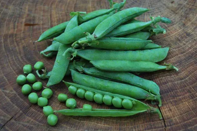 Varieties and types of peas: what are, photos and names