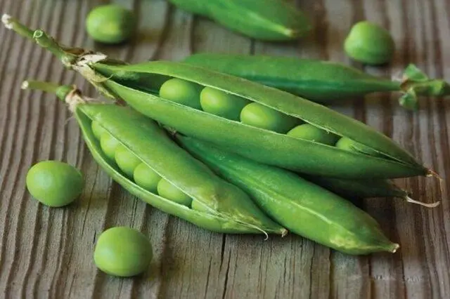 Varieties and types of peas: what are, photos and names