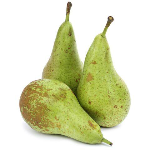 Varieties of autumn pears: photo with name and description