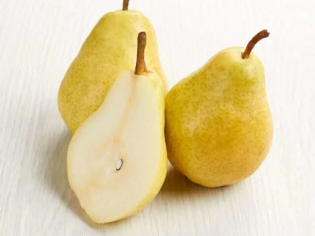 Varieties of autumn pears: photo with name and description