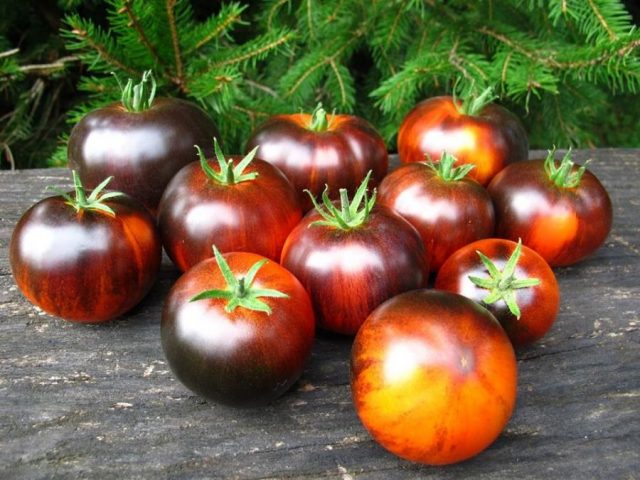 Varieties of black tomatoes with photos and descriptions