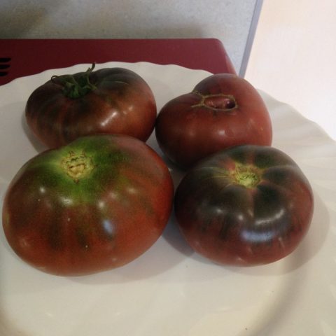 Varieties of black tomatoes with photos and descriptions