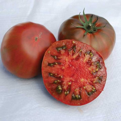 Varieties of black tomatoes with photos and descriptions