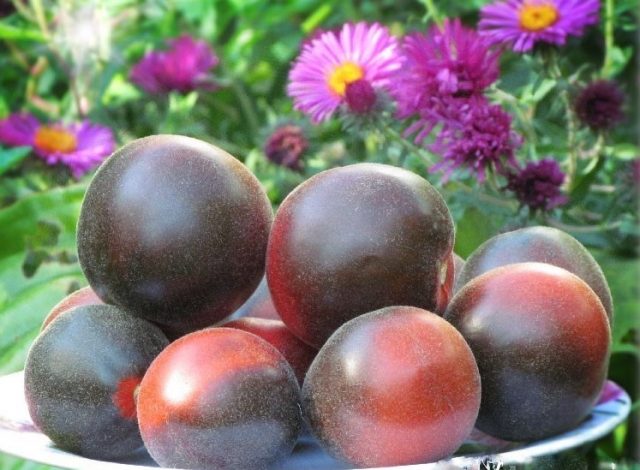 Varieties of black tomatoes with photos and descriptions