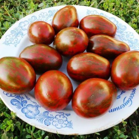 Varieties of black tomatoes with photos and descriptions