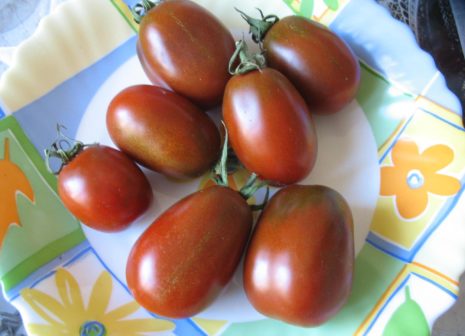 Varieties of black tomatoes with photos and descriptions