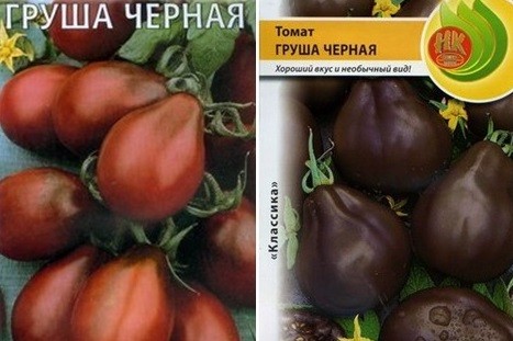 Varieties of black tomatoes with photos and descriptions