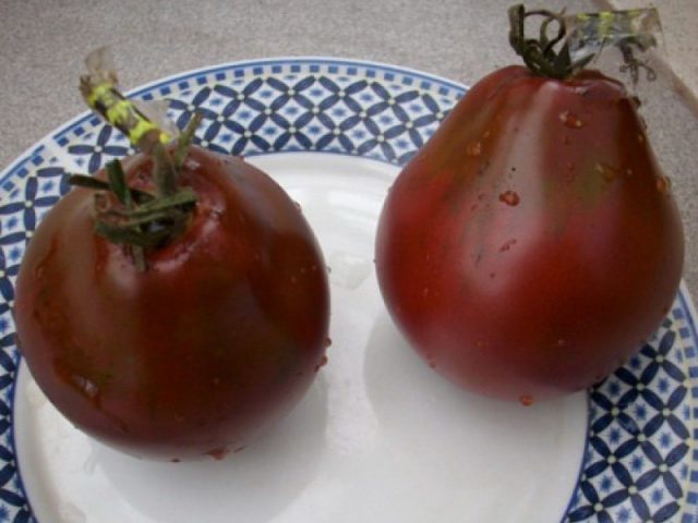 Varieties of black tomatoes with photos and descriptions