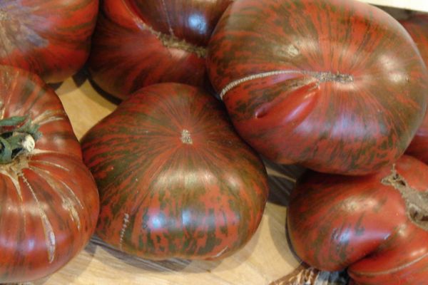 Varieties of black tomatoes with photos and descriptions