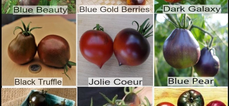 Varieties of black tomatoes with photos and descriptions