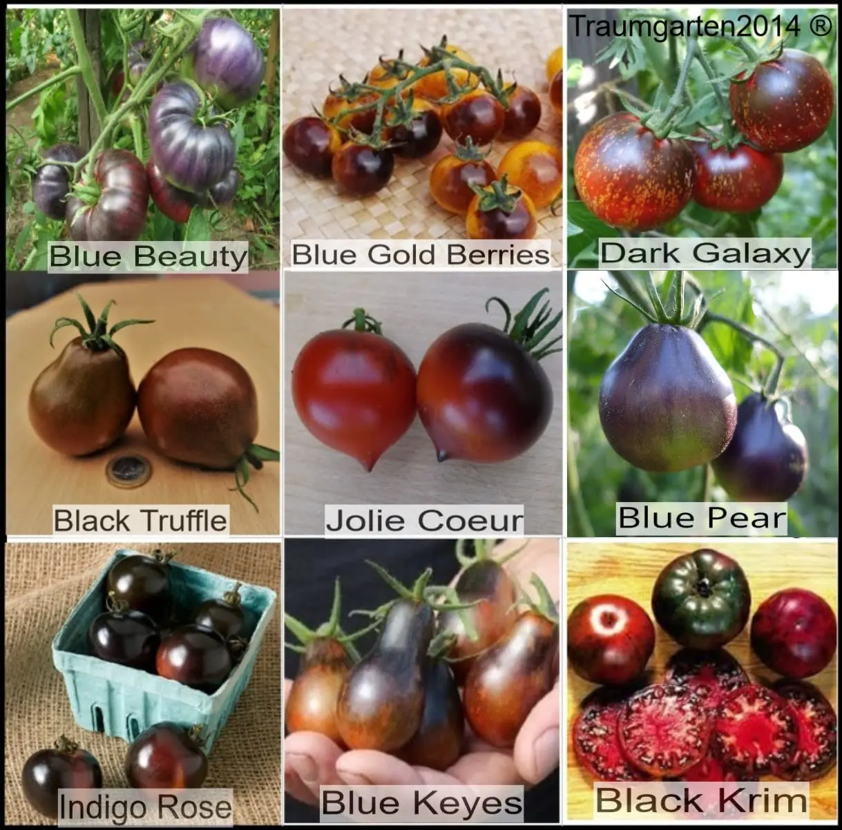 Varieties of black tomatoes with photos and descriptions