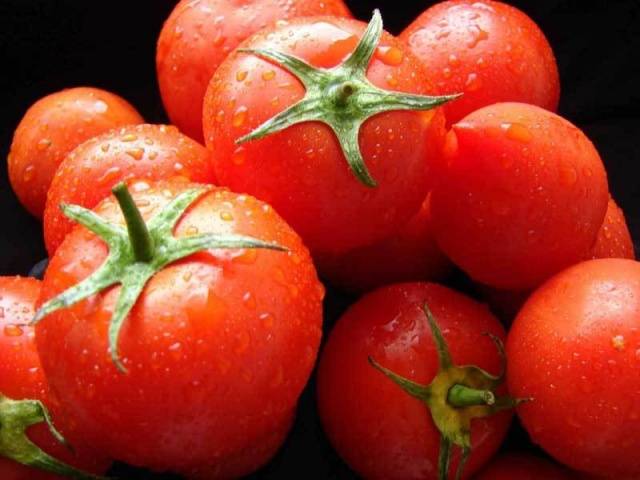 Varieties of carpal tomatoes for open ground 