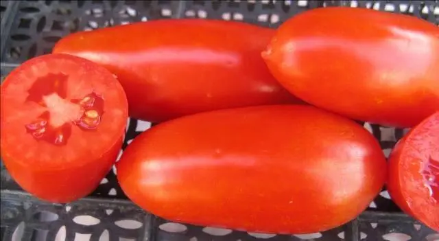 Varieties of carpal tomatoes for open ground 