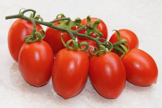 Varieties of carpal tomatoes for open ground 