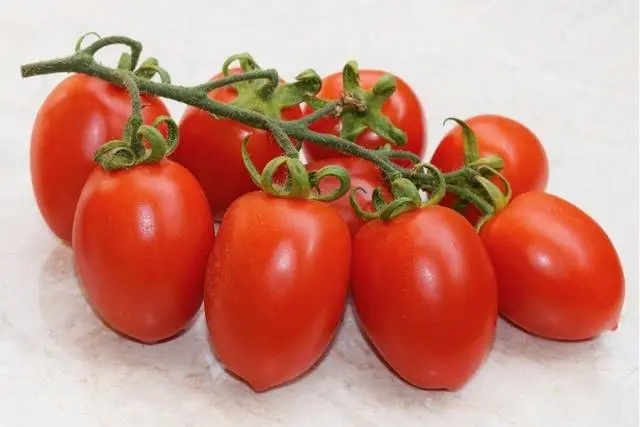 Varieties of carpal tomatoes for open ground 