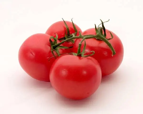 Varieties of carpal tomatoes for open ground 