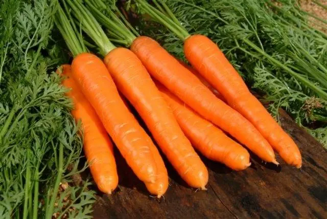 Varieties of carrots for the Urals