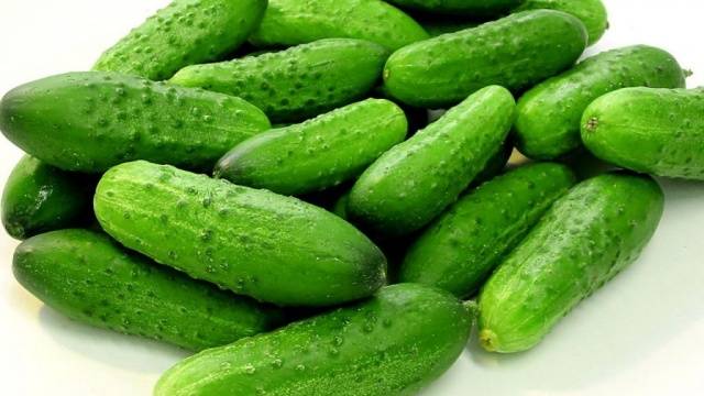 Varieties of cucumbers for the greenhouse