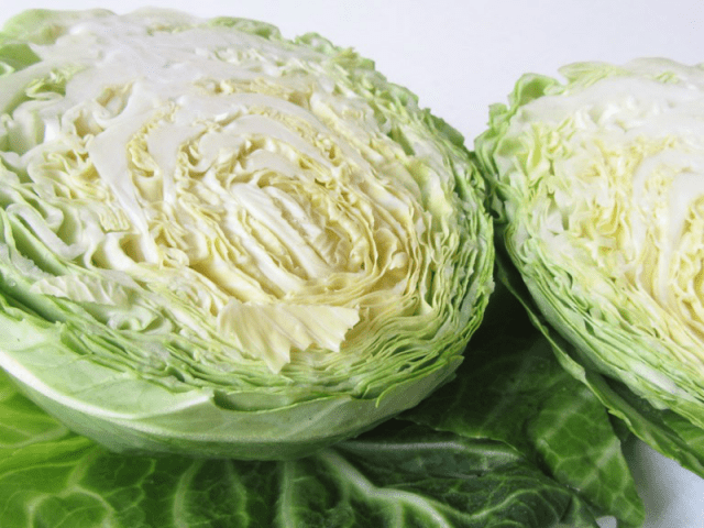 Varieties of early and ultra-early white cabbage