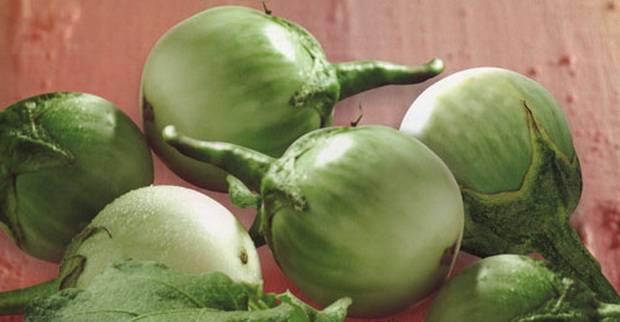 Varieties of green eggplant