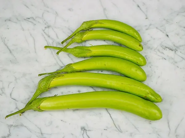 Varieties of green eggplant