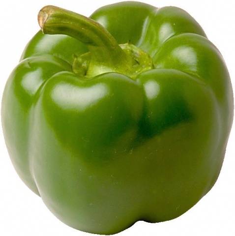 Varieties of green sweet pepper