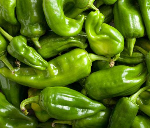 Varieties of green sweet pepper