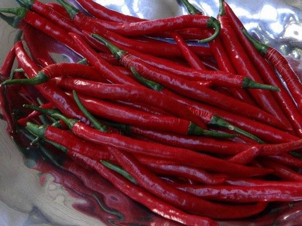 Varieties of hot pepper