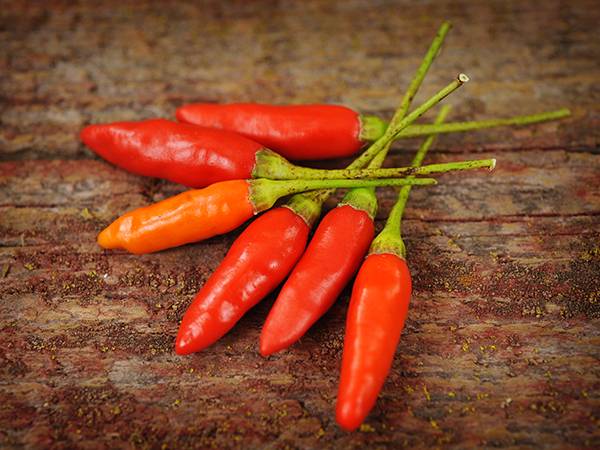 Varieties of hot pepper for open ground