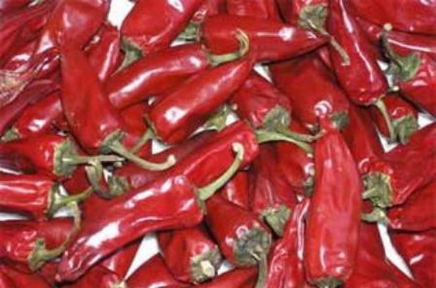 Varieties of hot pepper for open ground