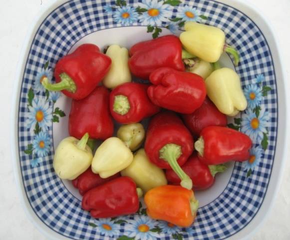 Varieties of hot pepper for open ground