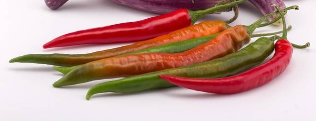 Varieties of hot pepper for open ground