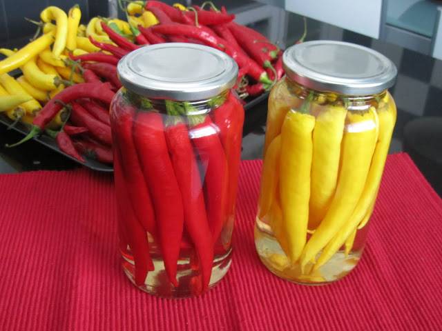 Varieties of hot pepper for the Moscow region