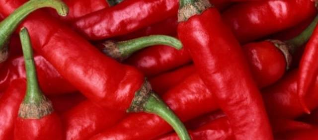 Varieties of hot pepper for the Moscow region