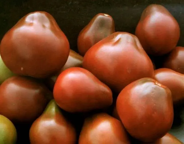 Varieties of indeterminate tomatoes for open ground