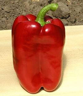 Varieties of large thick-walled peppers