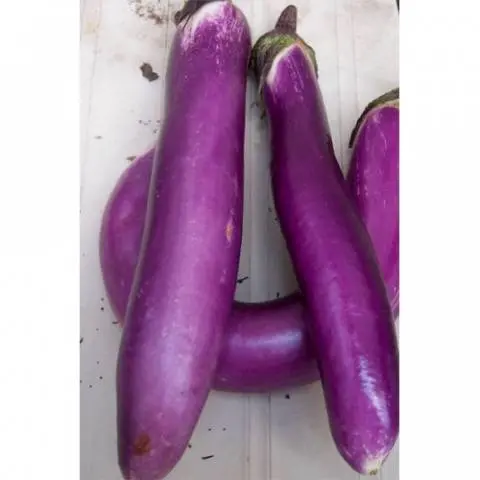 Varieties of long and thin eggplants