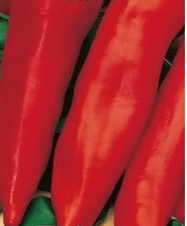 Varieties of long and thin pepper