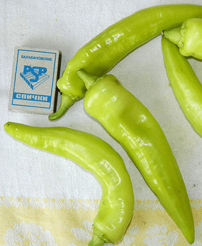 Varieties of long and thin pepper