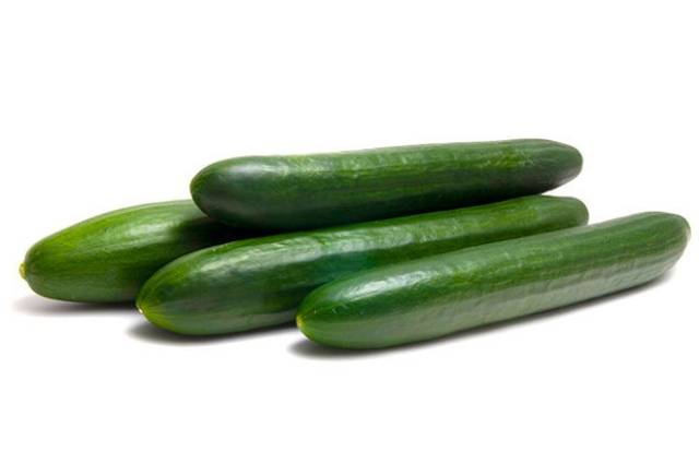 Varieties of long-fruited cucumbers