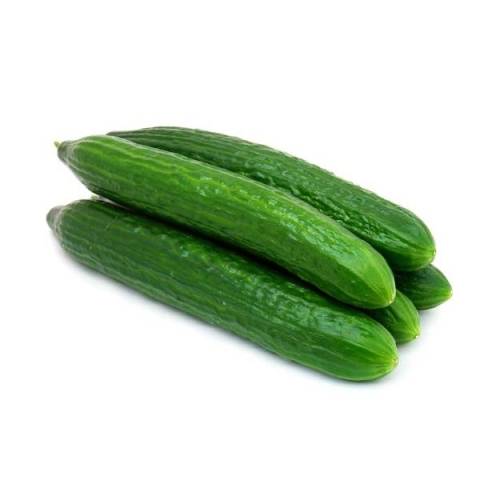 Varieties of long-fruited cucumbers